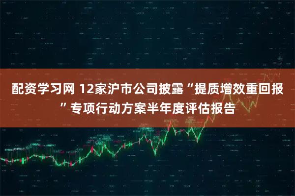 配资学习网 12家沪市公司披露“提质增效重回报”专项行动方案半年度评估报告